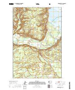 Skokomish Valley 2020 topographic map thumbnail