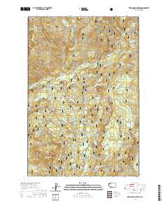 Steamboat Mountain 2020 topographic map thumbnail