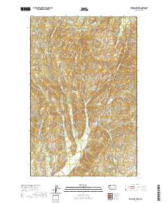 Stepstone Creek 2020 topographic map thumbnail