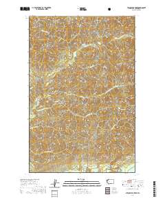 Stequaleho Creek 2020 topographic map thumbnail