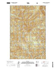 Strawberry Mountain 2020 topographic map thumbnail