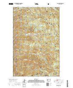 Tacoma Peak 2020 topographic map thumbnail