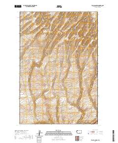 Taylor Canyon 2020 topographic map thumbnail