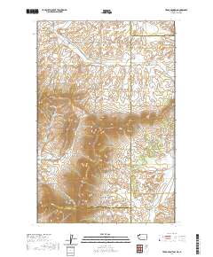 Tekoa Mountain 2020 topographic map thumbnail