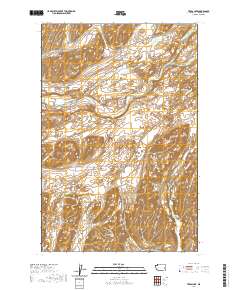 Texas Lake 2020 topographic map thumbnail