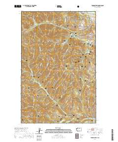 Thompson Ridge 2020 topographic map thumbnail