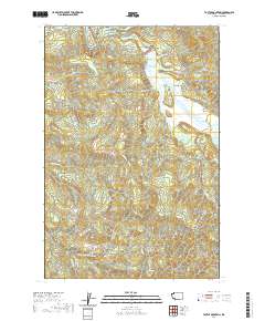 Toutle Mountain 2020 topographic map thumbnail