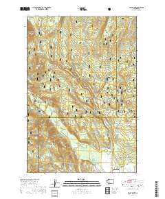 Trout Lake 2020 topographic map thumbnail