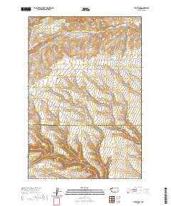 Tule Prong 2020 topographic map thumbnail