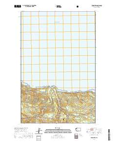 Twin Rivers 2020 topographic map thumbnail