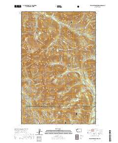Twin Sisters Mountain 2020 topographic map thumbnail