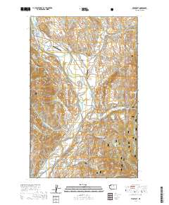 Twisp East 2020 topographic map thumbnail