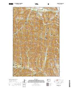 Twisp West 2020 topographic map thumbnail