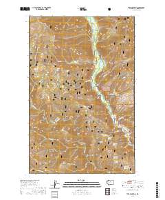 Tyee Mountain 2020 topographic map thumbnail