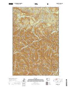 Tyler Peak 2020 topographic map thumbnail