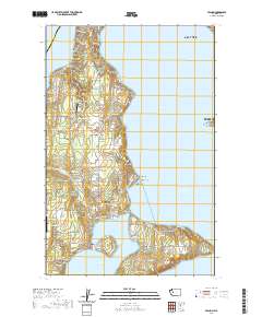 Vashon 2020 topographic map thumbnail