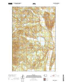 Waitts Lake 2020 topographic map thumbnail