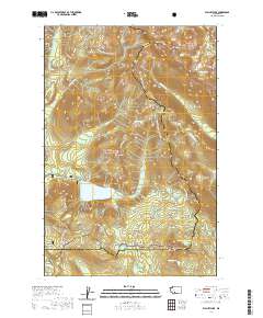 Walupt Lake 2020 topographic map thumbnail