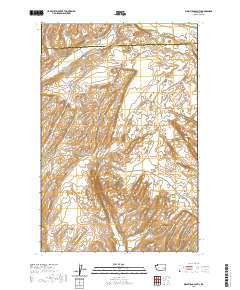 Washtucna South 2020 topographic map thumbnail
