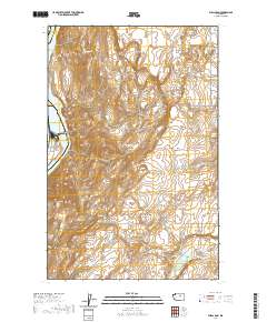 Wells Dam 2020 topographic map thumbnail