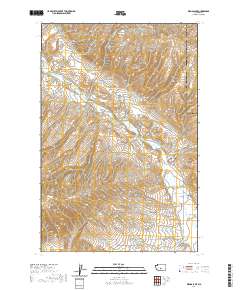 Wenas Lake 2020 topographic map thumbnail