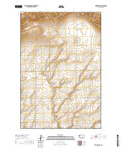 Whitstran NE 2020 topographic map thumbnail