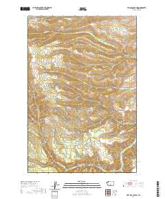 Willy Dick Canyon 2020 topographic map thumbnail