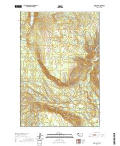 Windy Point 2020 topographic map thumbnail