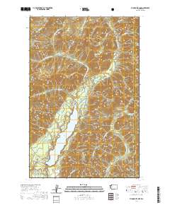 Wynoochee Lake 2020 topographic map thumbnail