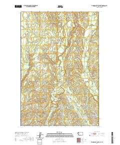 Wynoochee Valley NE 2020 topographic map thumbnail