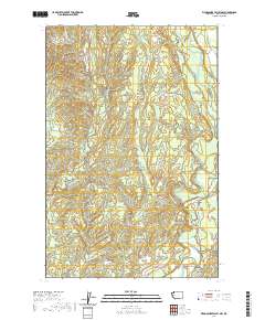 Wynoochee Valley NW 2020 topographic map thumbnail