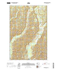 Aberdeen Gardens 2020 topographic map thumbnail