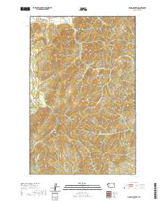 Adams Mountain 2020 topographic map thumbnail