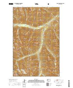 Agnes Mountain 2020 topographic map thumbnail