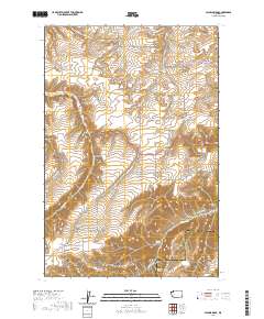 Alpowa Ridge 2020 topographic map thumbnail