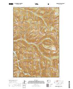 Ashnola Mountain 2020 topographic map thumbnail