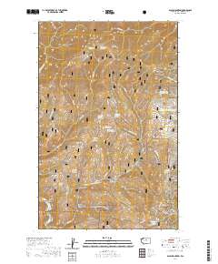 Baldy Mountain 2020 topographic map thumbnail