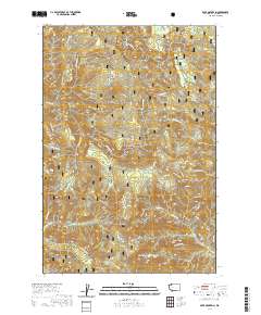 Bare Mountain 2020 topographic map thumbnail