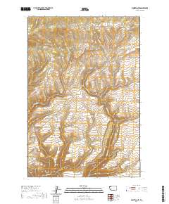 Bickleton NW 2020 topographic map thumbnail