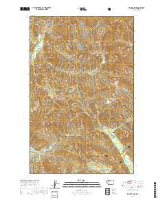 Big Devil Peak 2020 topographic map thumbnail