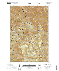 Blewett Pass 2020 topographic map thumbnail