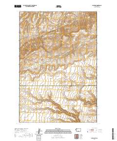 Bluelight 2020 topographic map thumbnail