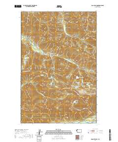 Bogachiel Peak 2020 topographic map thumbnail
