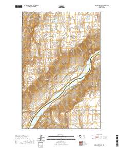 Bridgeport Point 2020 topographic map thumbnail