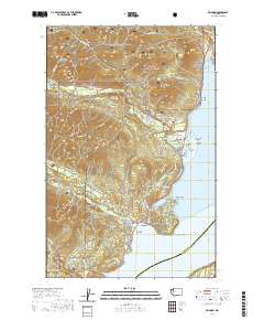 Brinnon 2020 topographic map thumbnail
