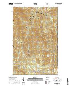 Buck Mountain 2020 topographic map thumbnail