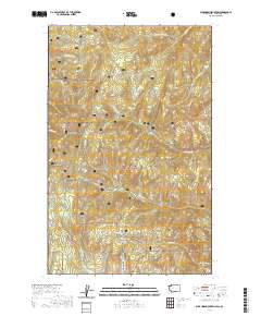 Buckhorn Mountain 2020 topographic map thumbnail