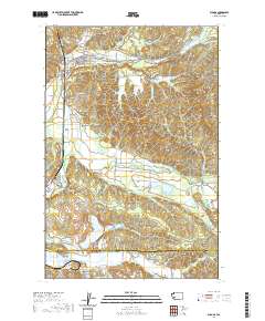 Bucoda 2020 topographic map thumbnail