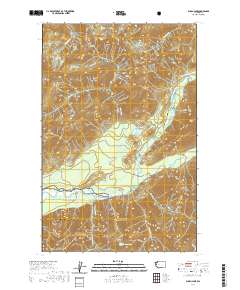 Bunch Lake 2020 topographic map thumbnail