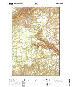 Camas Patch 2020 topographic map thumbnail